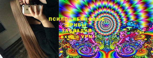 дживик Михайлов