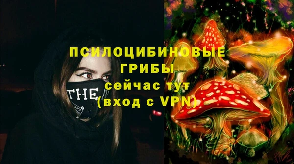прущие грибы Михайловск