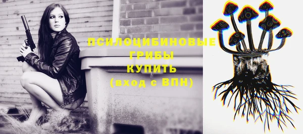 прущая мука Медвежьегорск