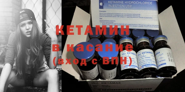 прущие грибы Михайловск