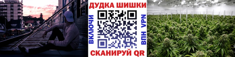 Шишки марихуана AK-47  Купить где  Пролетарск 